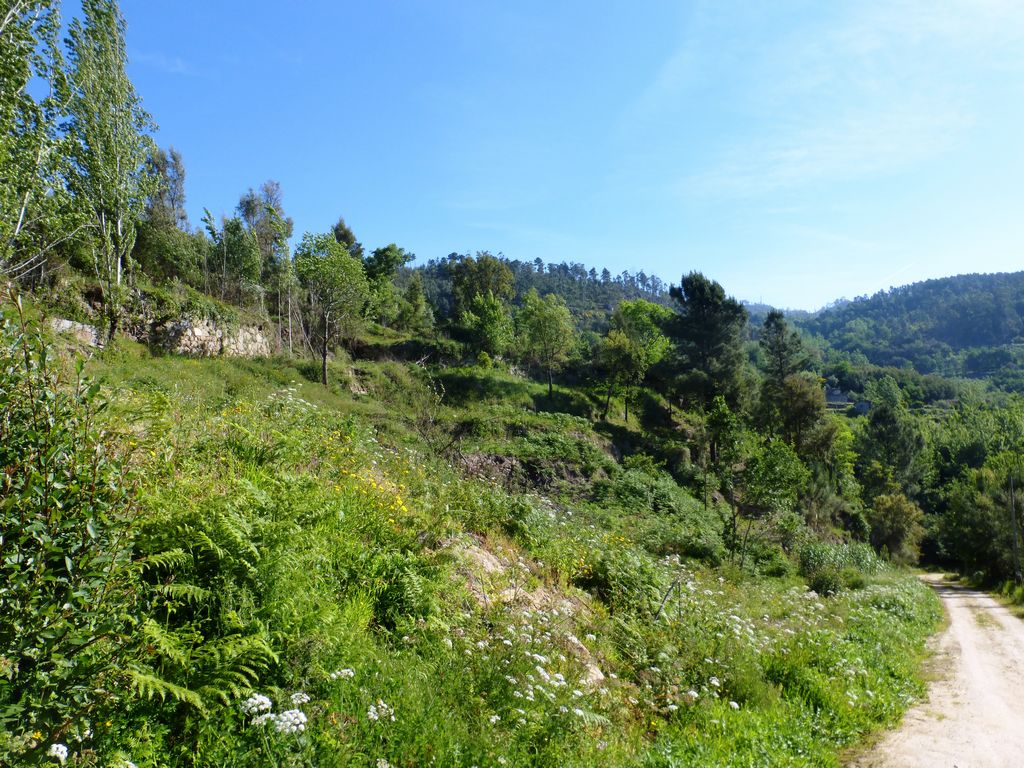 Land plot for house construction